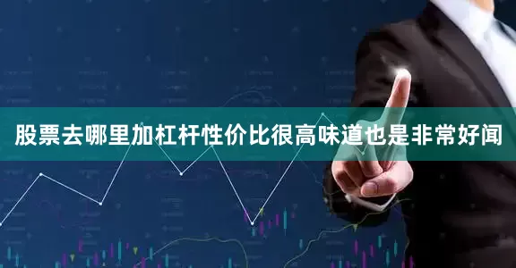 股票去哪里加杠杆性价比很高味道也是非常好闻